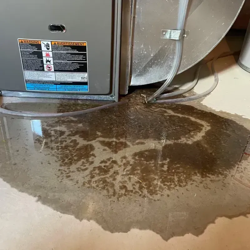 Appliance Leak Cleanup in Glenwood, IA